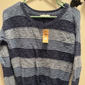 American Eagle Outfitters Blue Striped Crewneck Sweater